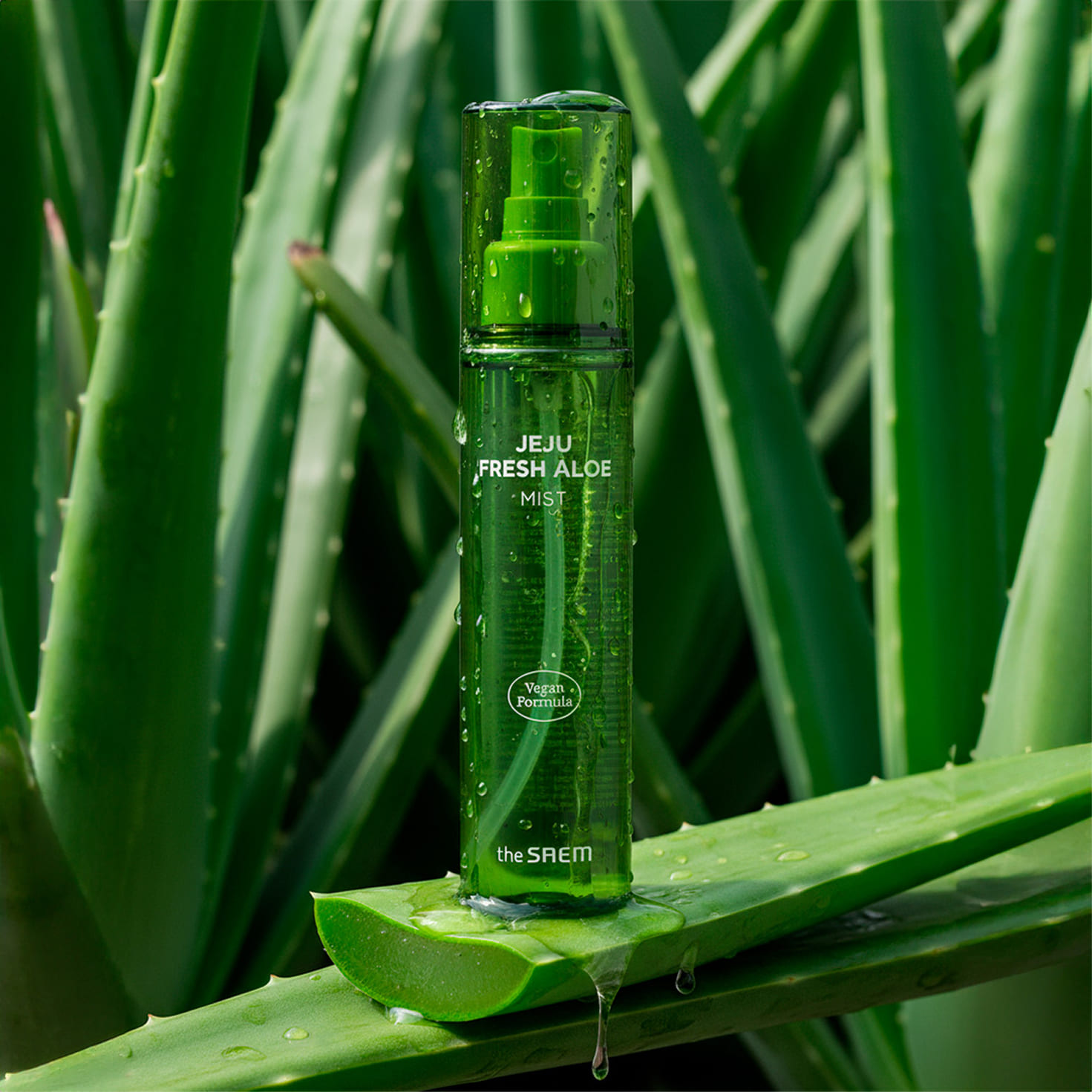 THE SAEM Jeju Fresh Aloe Mist